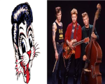 Stray Cats Fanz