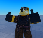 The bear mass team