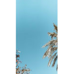 Angelos-