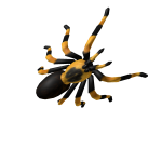 Tarantula, the monster.