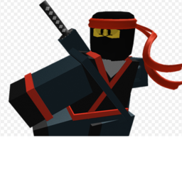 Ninja Warriors