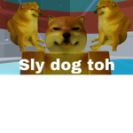 Dog is sly