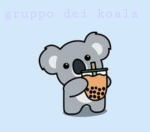 Gruppetto dei koala