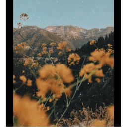 🍂🍁