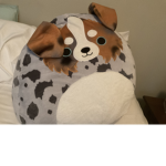 #FreedomDogs