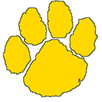 Georgia Panthers