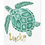Turtles Rule and are adorable