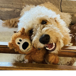 Henri und lucie