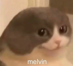 Melvin Studio