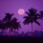 full moon home store <3