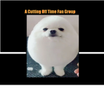 A Cutting Off Time Fan Group