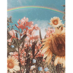 Happysunshinesquad
