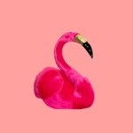 Flamingo fan club Only no hated