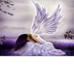 Winged Promises