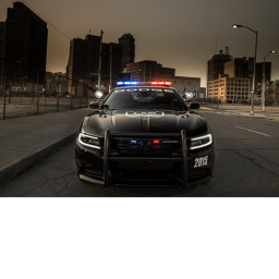 DOJ:RP Type Roleplay