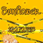 SunsFlower