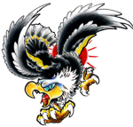 Eagle Eye Force