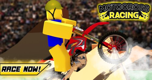 Motocross Racing
