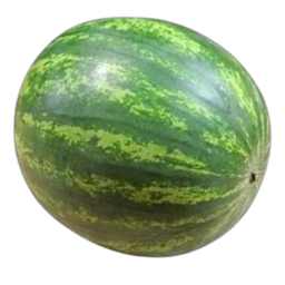 Watermelon Obby
