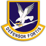 |USAF| Security Forces.