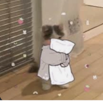 Flify