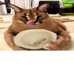 H a n g o u t_S t u d i o s