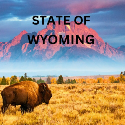 Wyoming State Rolepay V.1