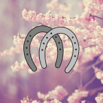 >Lavender Blossom Stables<