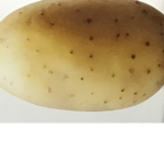 Oofs potato group