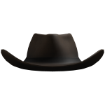 Cowboy Hat