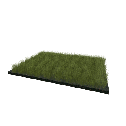 The asylum grass plate