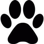 🐾Animal Enthusiasts🐾
