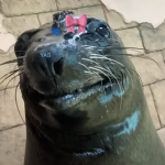 ᴍᴀᴅᴅɪᴇ's ɢʀᴏᴜᴘ!