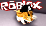 mr.hamster