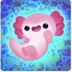 Axolotl cafe.