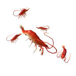 Roblox entity thumbnail