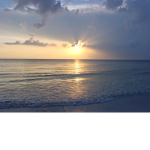 Sunset Shores Medical Technology