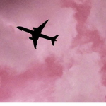 rosee aesthetic