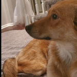 Welcome to lulu's group!