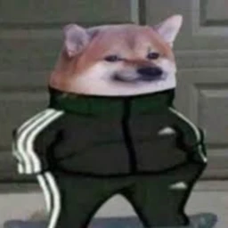 The Egg INC Show! icon