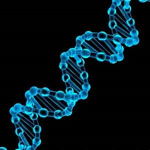DNA dead n association