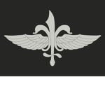 Reconnaissance Unit 269