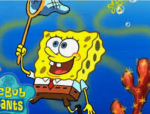 Club SpongeBob!