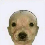 Grupomio