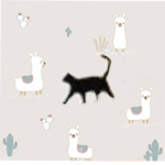~Gabriella’s Kitties~