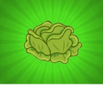 CannonBall Cabbage
