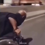 Wheelchair Productions