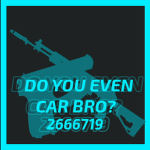 Do You Even Car Bro?
