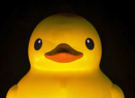 Ducks :3.