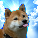 Shiba Inu Empire
